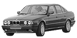 BMW E34 P2B8E Fault Code